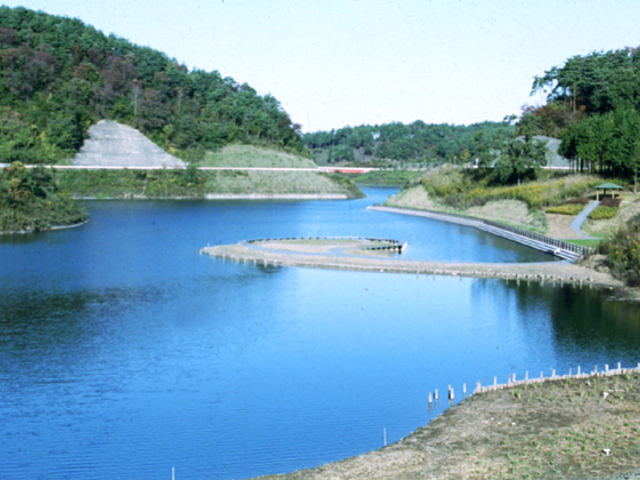 飯田ダムの写真1