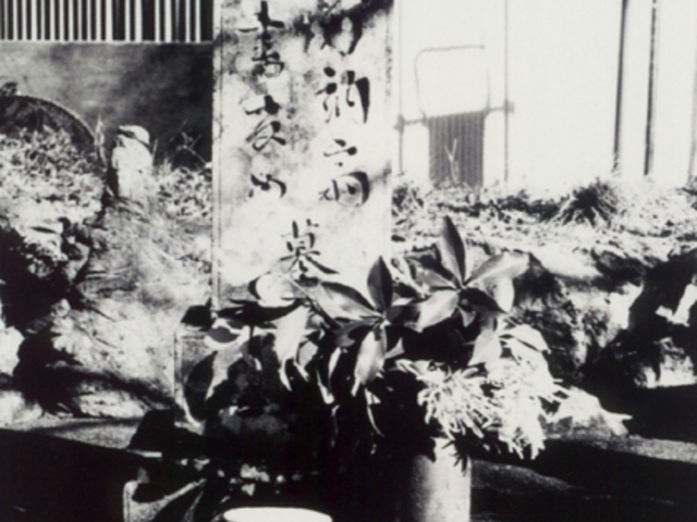 野村訥斎の墓の写真1