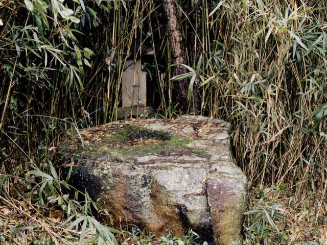 掎鹿廃寺心礎の写真1