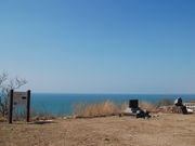 トド供養碑御啓記念碑の写真1