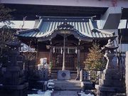 水神の森の写真1
