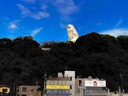 大船観音寺の写真2