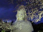 大船観音寺の写真4