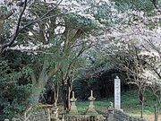 常山女軍の墓の写真1