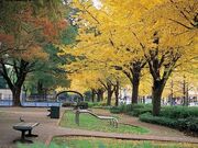 蔵本通りの写真1