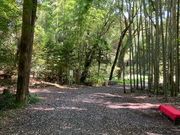 児玉美術館の写真3