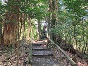 児玉美術館の写真4