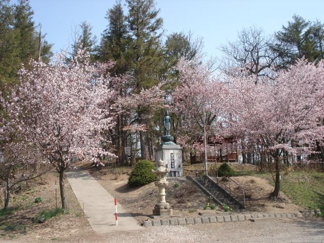 丸山公園