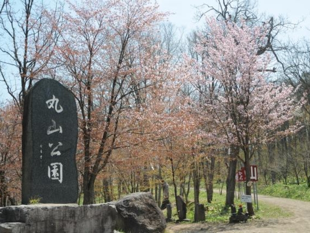 丸山公園