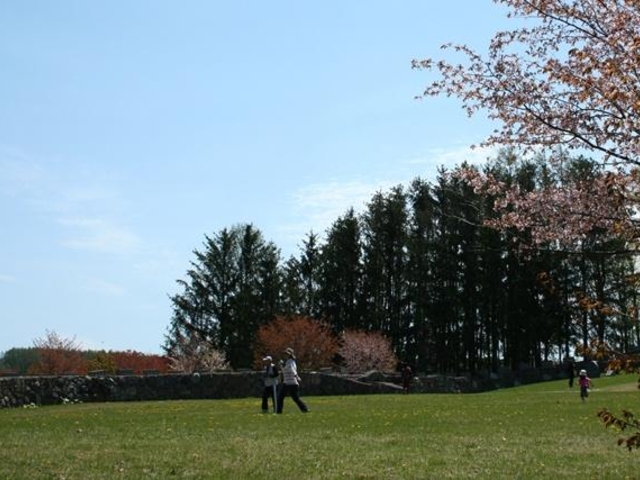 桜ケ丘公園の写真1