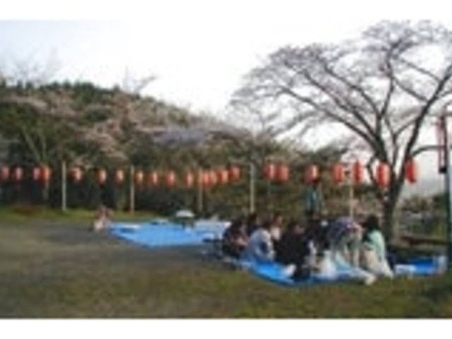 東山公園の写真1