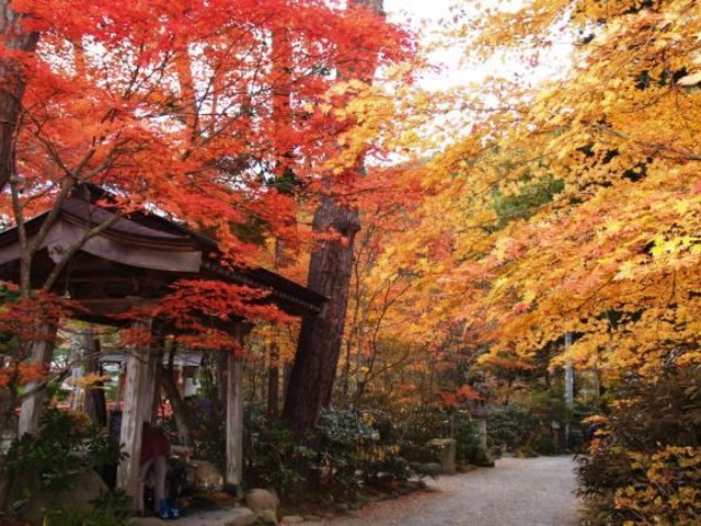 山本公園_山本公園