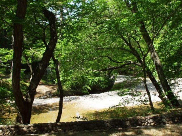 山本公園_山本公園