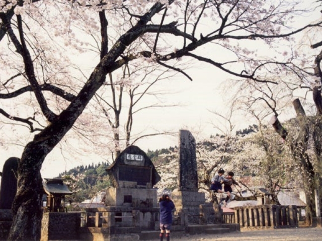 向ケ岡公園の写真1
