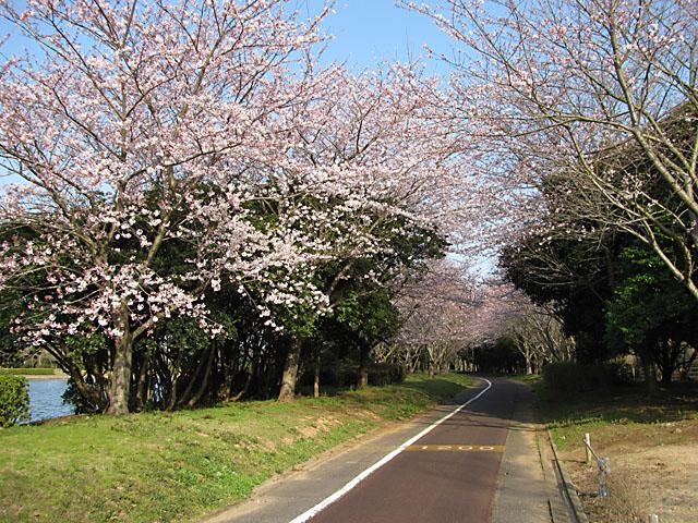 神之池緑地公園