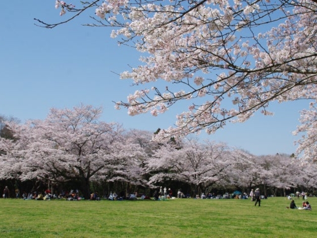 泉自然公園