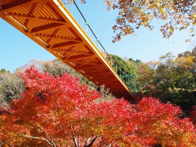泉自然公園