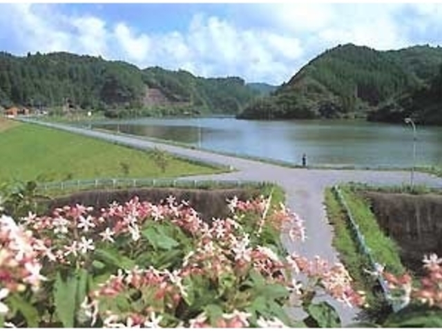 日在浦海浜公園広場の写真1
