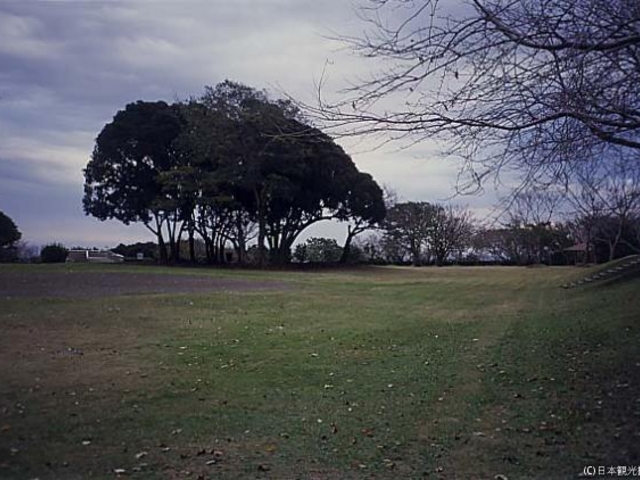 大房岬自然公園の写真1