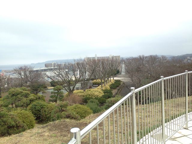 中央公園