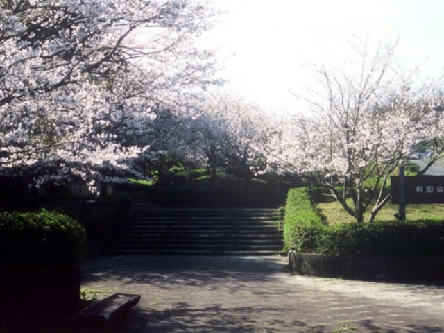 和田公園の写真1