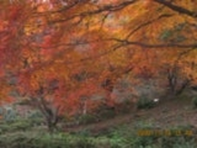 宝山公園の写真1