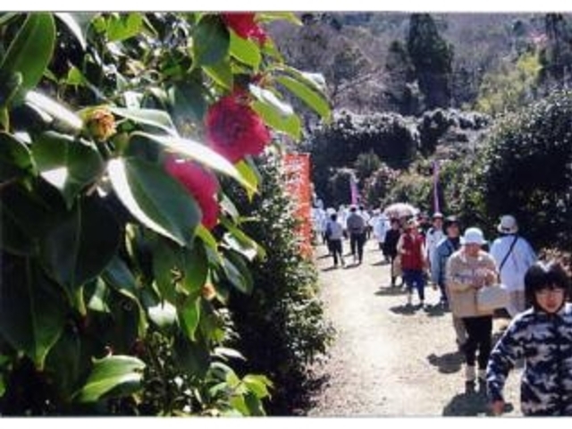 島の星山椿の里公園の写真1
