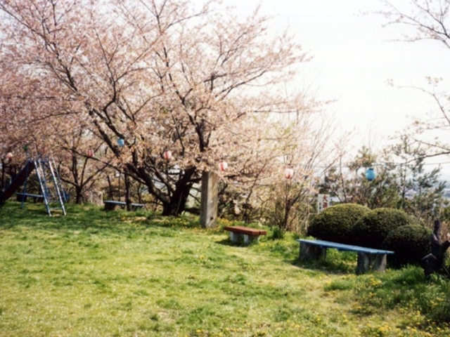 御野立公園の写真1