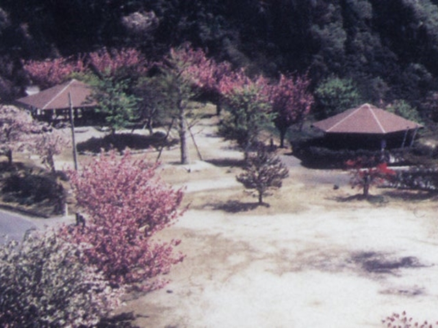 銚子ダム公園の写真1