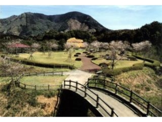 西城公園の写真1