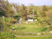 興部公園の写真2