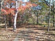 里見が丘公園の写真1
