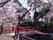 御幸公園の写真1