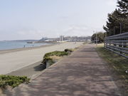 はまなす公園の写真3