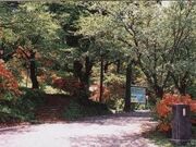 金沢公園の写真1