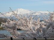 勢至公園の写真1