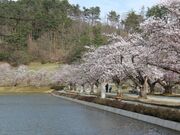 堂ノ前公園の写真2