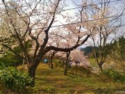 猿羽根山公園の写真3