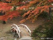 旭ヶ岡公園の写真1