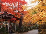 山本公園の写真2