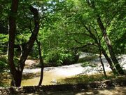 山本公園の写真3