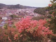 風呂山公園の写真2