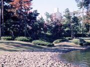 中央公園の写真1