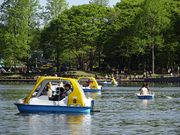 井頭公園の写真4