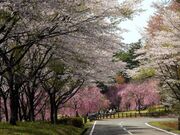 栃木県八溝県民休養公園(南那須四季の森)の写真1