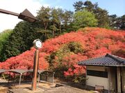 花立峠憩の森公園の写真2