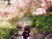 花立峠憩の森公園の写真3
