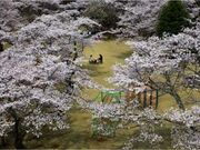 馬頭公園の写真1