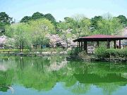 烏が森公園の写真1