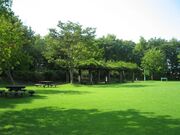 県民公園新港の森の写真1